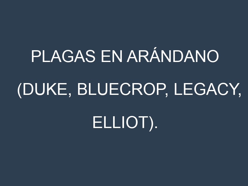 Plagas en Arándano (Duke, Bluecrop, Legacy, Elliot). Control biológico y Manejo de plagas.