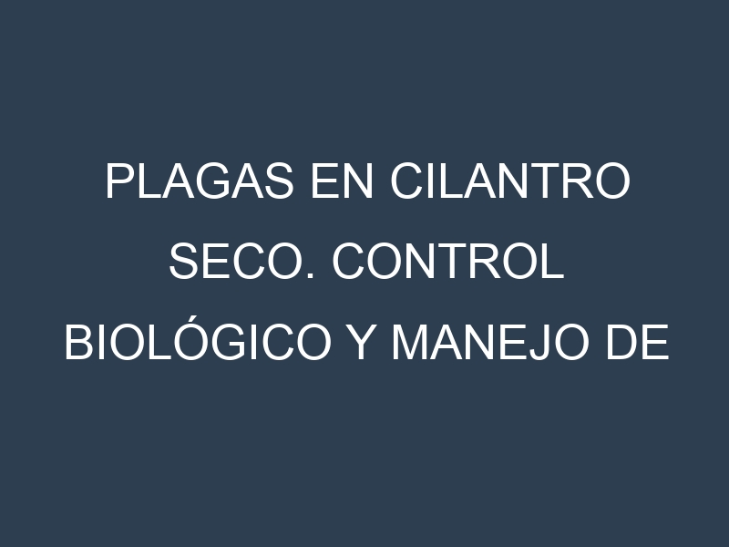 Plagas en Cilantro seco. Control biológico y Manejo de plagas.