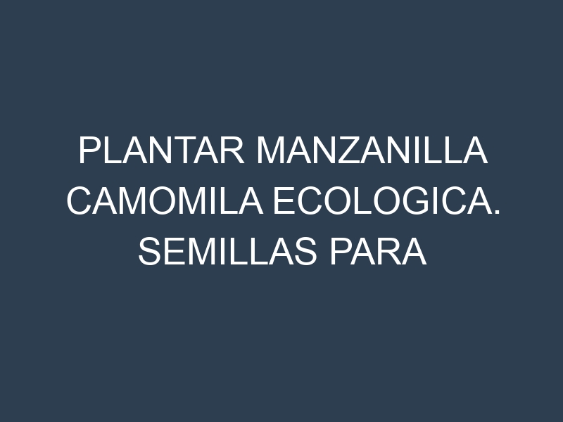Plantar Manzanilla Camomila Ecologica. Semillas para Manzanilla Camomila Ecologica. Enfermedades Manzanilla Camomila Ecologica.