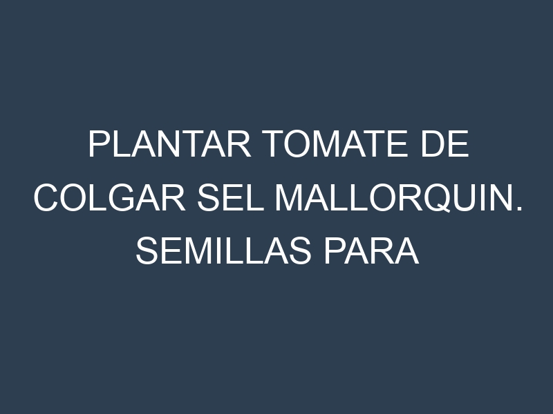 Plantar Tomate De Colgar Sel Mallorquin. Semillas para Tomate De Colgar Sel Mallorquin. Enfermedades Tomate De Colgar Sel Mallorquin.