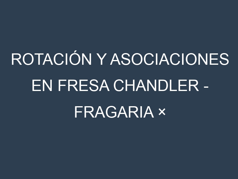 Rotación y Asociaciones en Fresa Chandler – Fragaria × ananassa. Estrategias de rotación y Beneficios de las asociaciones de cultivos.