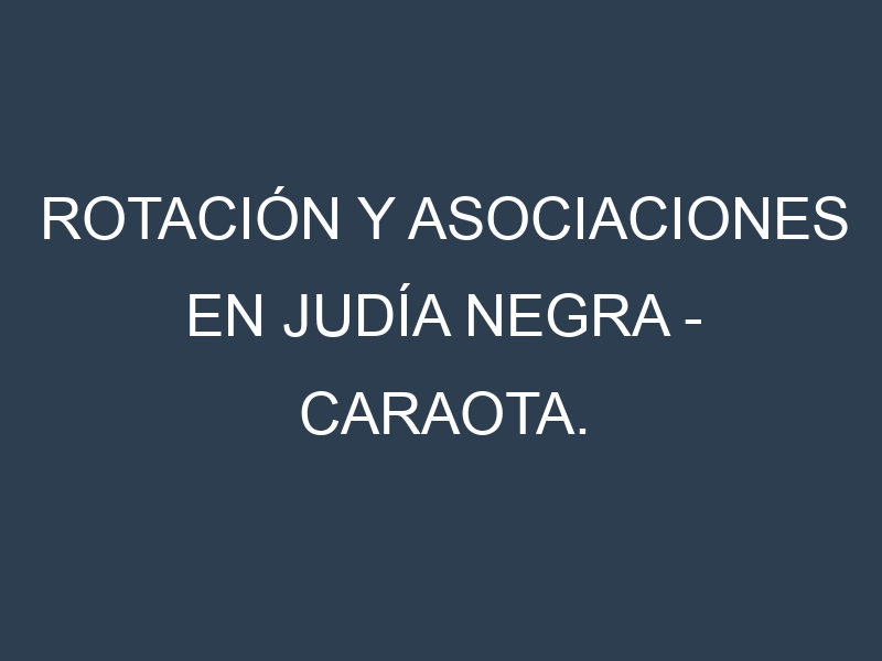 Rotación y Asociaciones en Judía negra – Caraota. Estrategias de rotación y Beneficios de las asociaciones de cultivos.