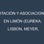 Rotación y Asociaciones en Limón (Eureka, Lisbon, Meyer, Fino, Verna). Estrategias de rotación y Beneficios de las asociaciones de cultivos.