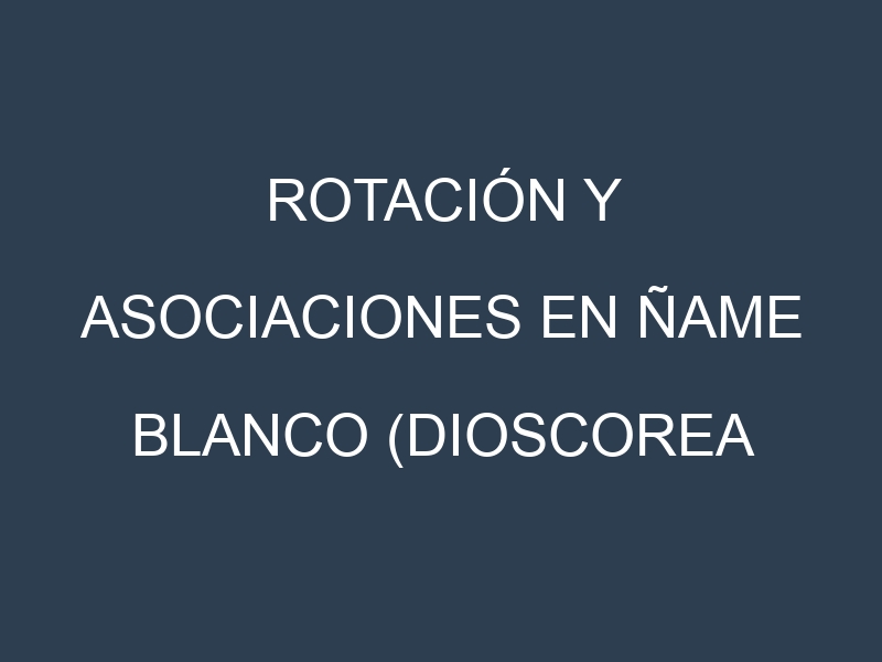 Rotación y Asociaciones en Ñame blanco (Dioscorea rotundata, Habanero White, Cocoyam, Yellow Guinea Yam, True Yam). Estrategias de rotación y Beneficios de las asociaciones de cultivos.