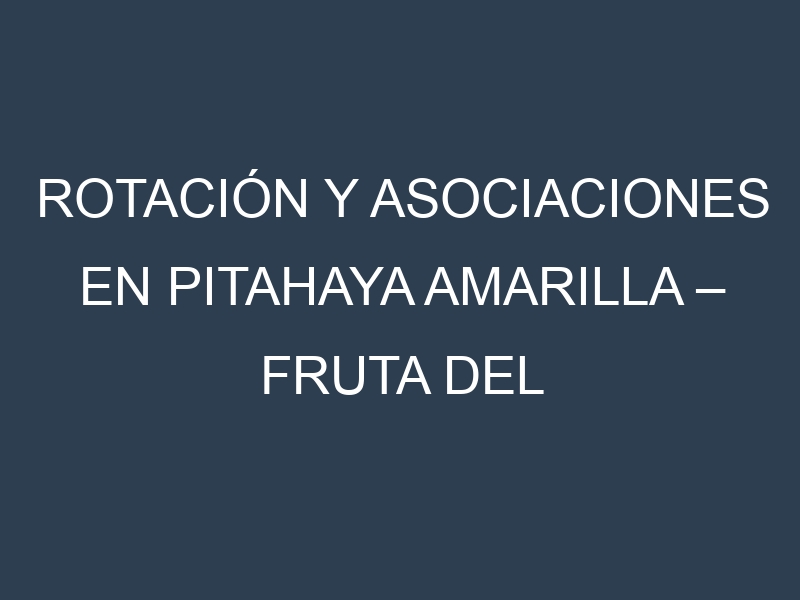 Rotación y Asociaciones en Pitahaya amarilla – Fruta del dragón amarilla. Estrategias de rotación y Beneficios de las asociaciones de cultivos.