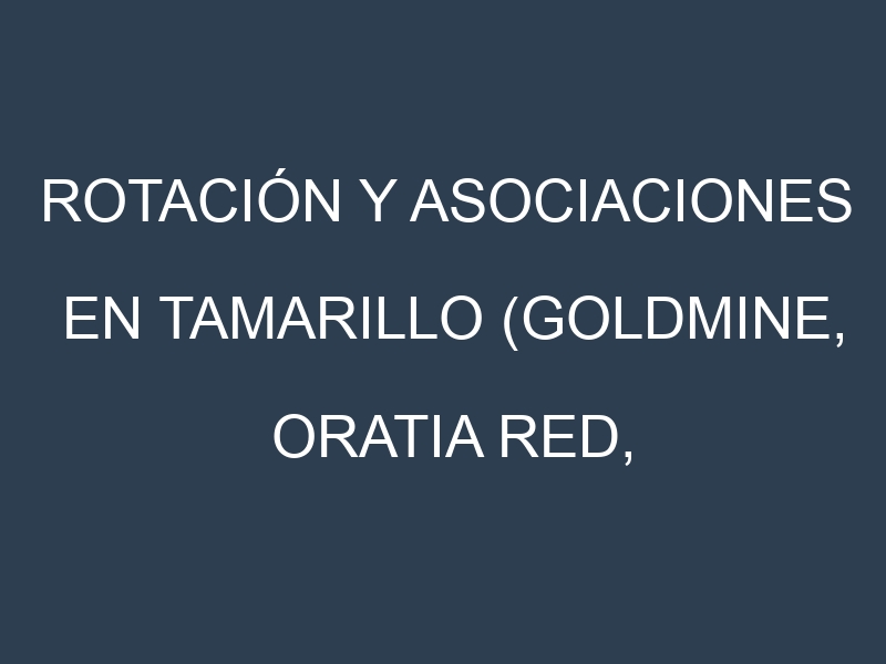 Rotación y Asociaciones en Tamarillo (Goldmine, Oratia Red, Rothamer, Ecuadorian Orange, Tango). Estrategias de rotación y Beneficios de las asociaciones de cultivos.
