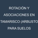 Rotación y Asociaciones en Tamarisco (arbusto para suelos salinos). Estrategias de rotación y Beneficios de las asociaciones de cultivos.