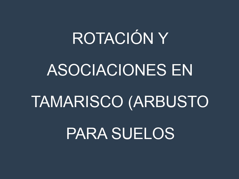 Rotación y Asociaciones en Tamarisco (arbusto para suelos salinos). Estrategias de rotación y Beneficios de las asociaciones de cultivos.