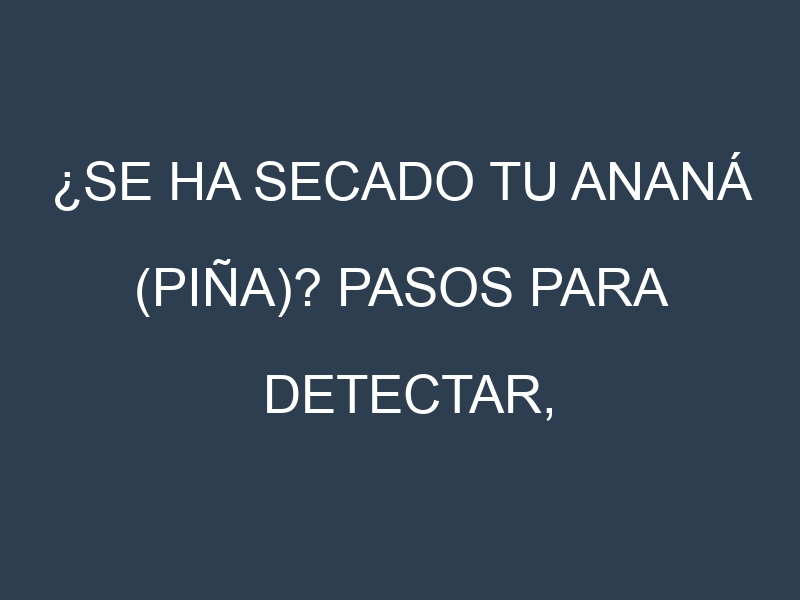 ¿Se ha secado tu Ananá (piña)? Pasos para Detectar, Corregir y Prevenir.