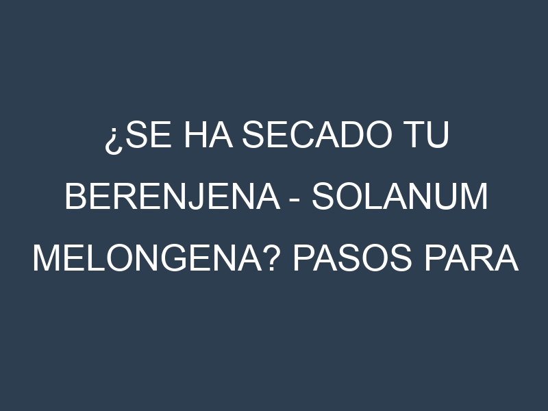 ¿Se ha secado tu Berenjena – Solanum melongena? Pasos para Detectar, Corregir y Prevenir.
