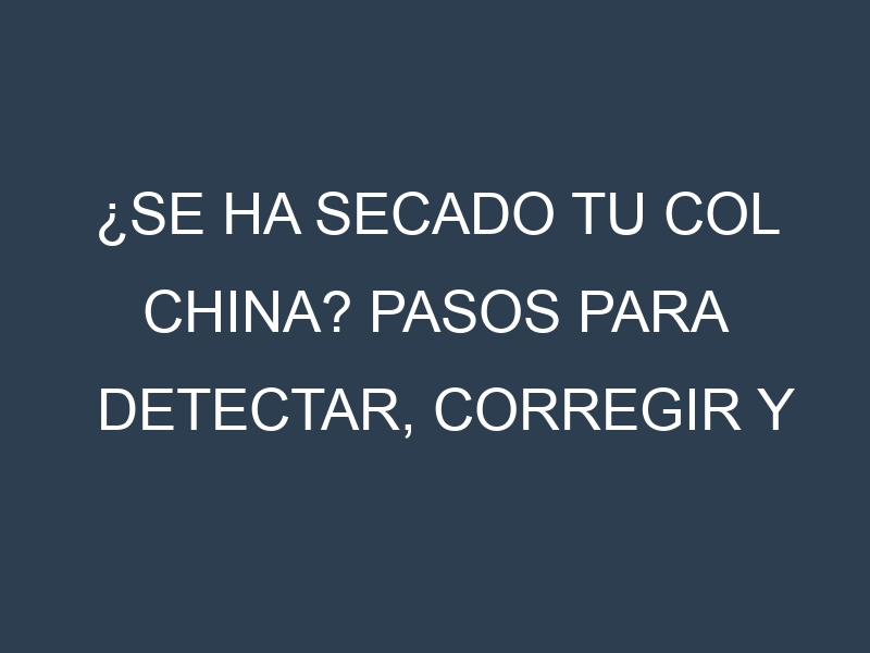 ¿Se ha secado tu Col china? Pasos para Detectar, Corregir y Prevenir.