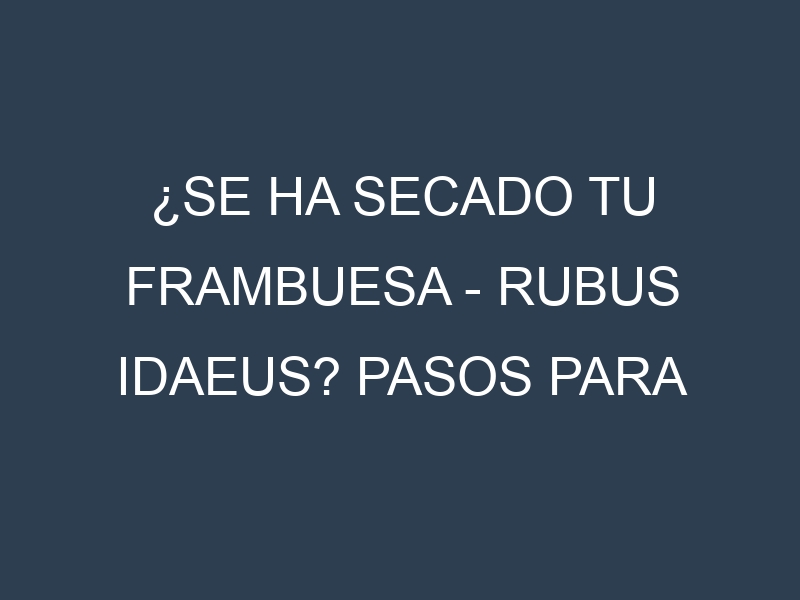 ¿Se ha secado tu Frambuesa – Rubus idaeus? Pasos para Detectar, Corregir y Prevenir.