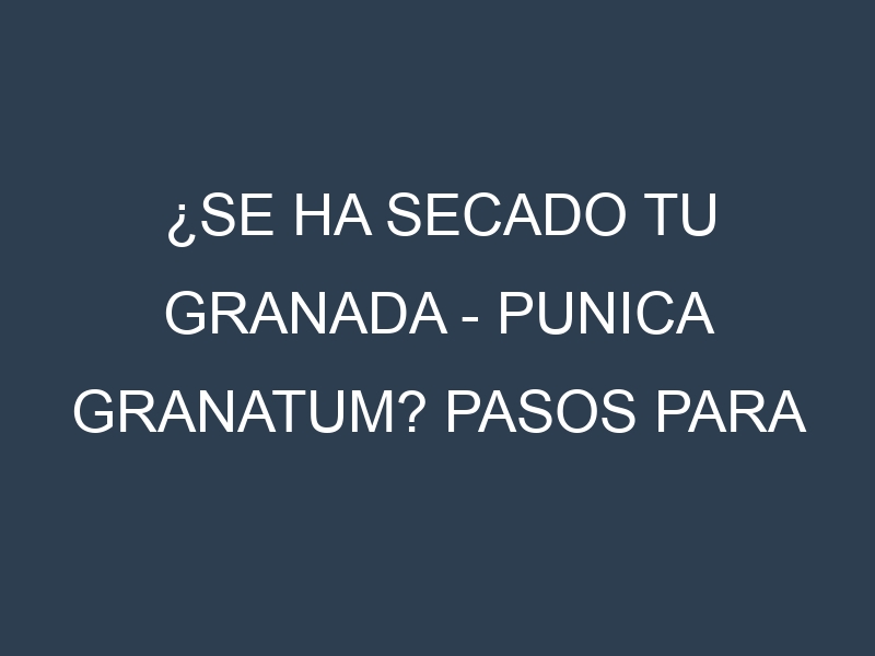 ¿Se ha secado tu Granada – Punica granatum? Pasos para Detectar, Corregir y Prevenir.