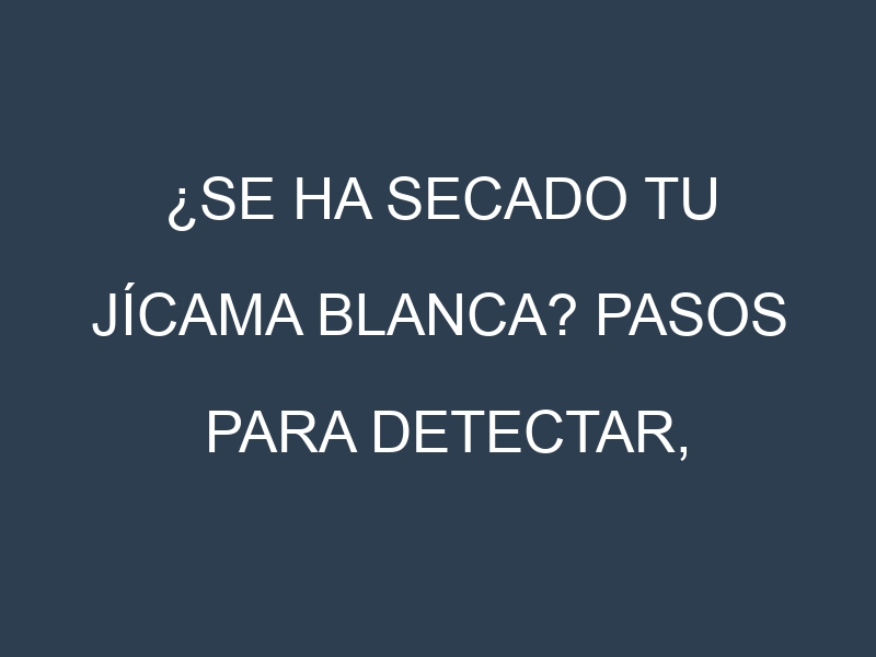 ¿Se ha secado tu Jícama blanca? Pasos para Detectar, Corregir y Prevenir.