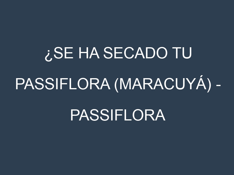 ¿Se ha secado tu Passiflora (maracuyá) – Passiflora edulis? Pasos para Detectar, Corregir y Prevenir.