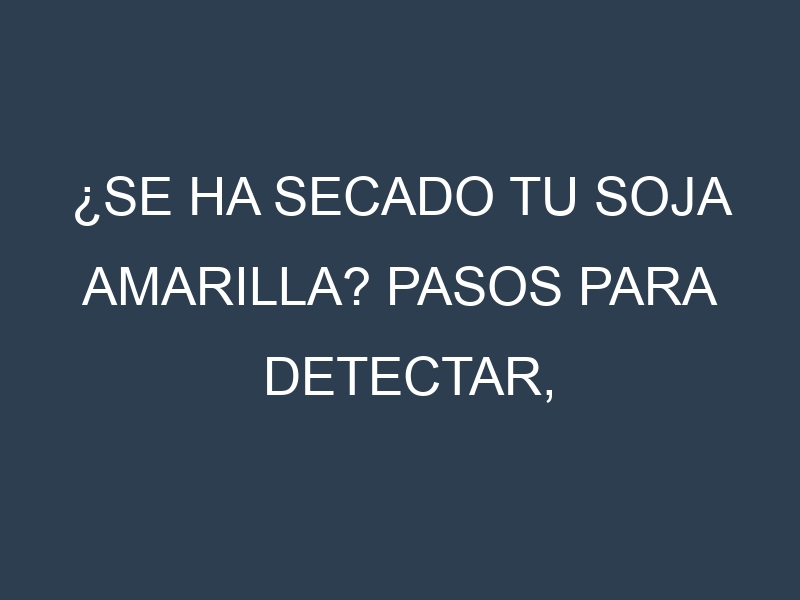 ¿Se ha secado tu Soja amarilla? Pasos para Detectar, Corregir y Prevenir.