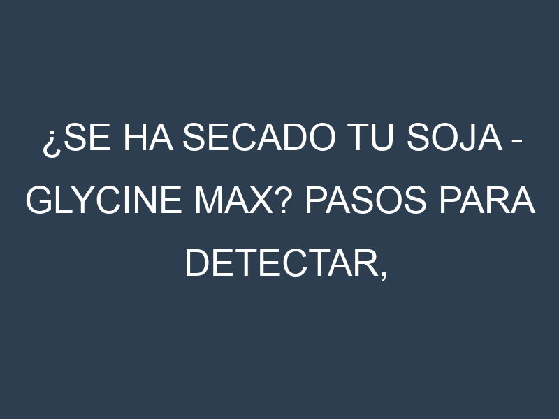 ¿Se ha secado tu Soja – Glycine max? Pasos para Detectar, Corregir y Prevenir.