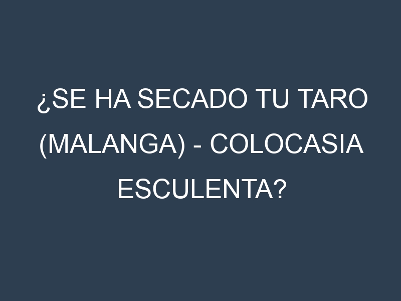 ¿Se ha secado tu Taro (malanga) – Colocasia esculenta? Pasos para Detectar, Corregir y Prevenir.