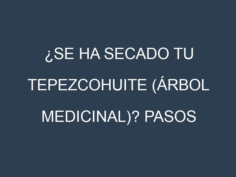 ¿Se ha secado tu Tepezcohuite (árbol medicinal)? Pasos para Detectar, Corregir y Prevenir.
