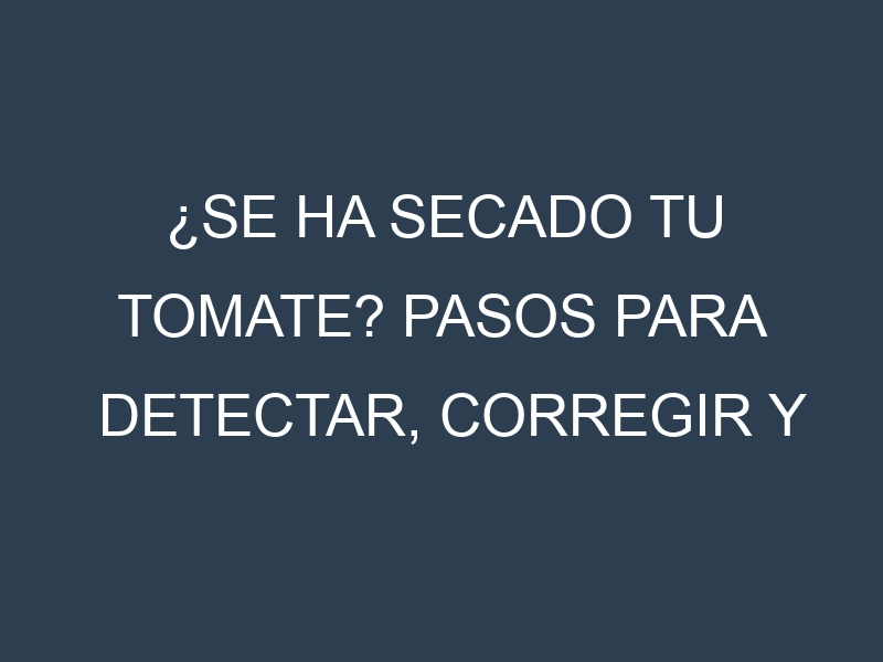 ¿Se ha secado tu Tomate? Pasos para Detectar, Corregir y Prevenir.