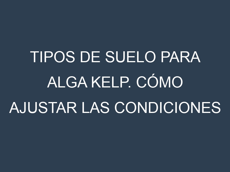 Tipos de suelo para Alga kelp. Cómo ajustar las condiciones del suelo.