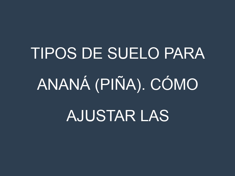 Tipos de suelo para Ananá (piña). Cómo ajustar las condiciones del suelo.