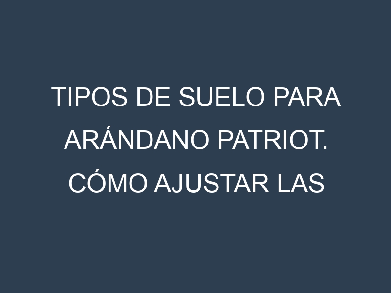 Tipos de suelo para Arándano Patriot. Cómo ajustar las condiciones del suelo.