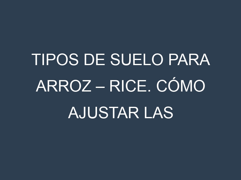 Tipos de suelo para Arroz – Rice. Cómo ajustar las condiciones del suelo.