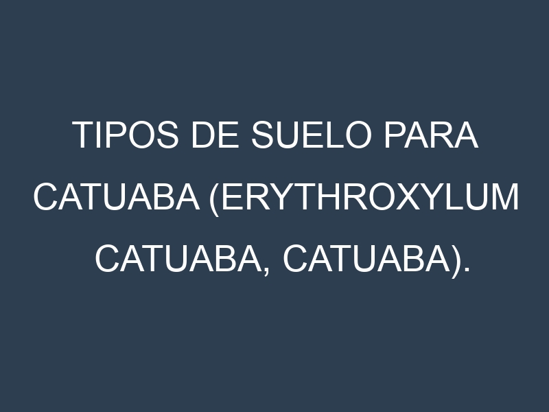 Tipos de suelo para Catuaba (Erythroxylum catuaba, catuaba). Cómo ajustar las condiciones del suelo.