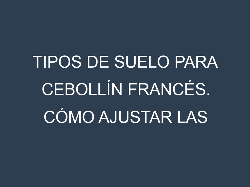 Tipos de suelo para Cebollín francés. Cómo ajustar las condiciones del suelo.