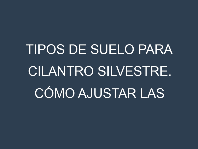 Tipos de suelo para Cilantro silvestre. Cómo ajustar las condiciones del suelo.