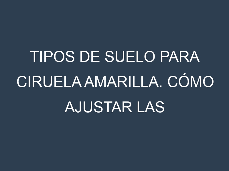 Tipos de suelo para Ciruela amarilla. Cómo ajustar las condiciones del suelo.