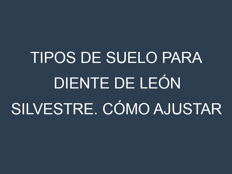 Tipos de suelo para Diente de león silvestre. Cómo ajustar las condiciones del suelo.