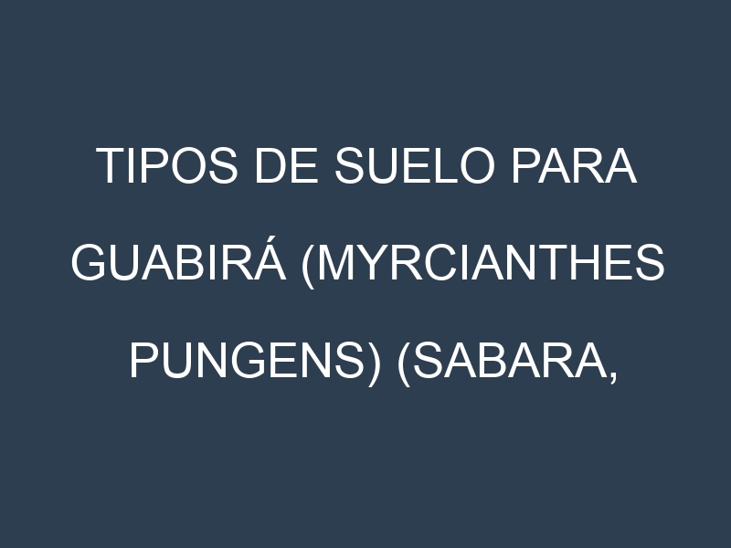 Tipos de suelo para Guabirá (Myrcianthes pungens) (Sabara, Criolla, Selvática, Dulce, Guabijú). Cómo ajustar las condiciones del suelo.