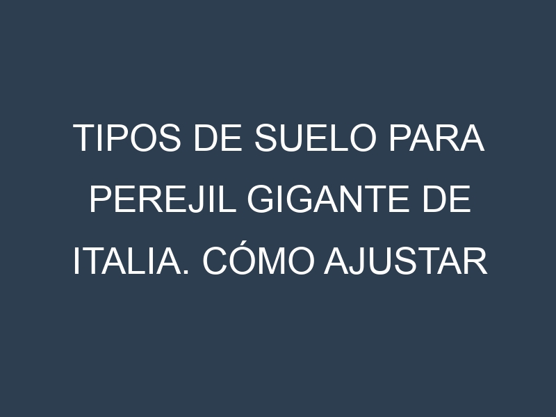Tipos de suelo para Perejil gigante de Italia. Cómo ajustar las condiciones del suelo.