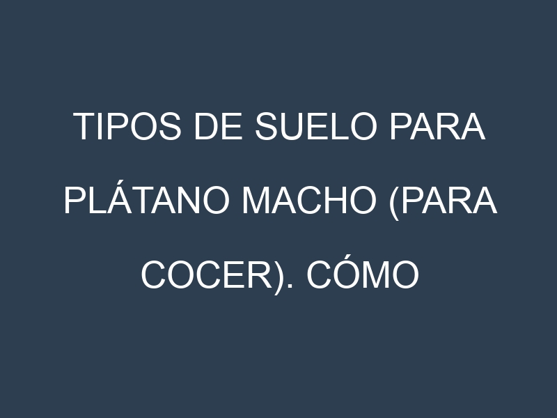Tipos de suelo para Plátano macho (para cocer). Cómo ajustar las condiciones del suelo.