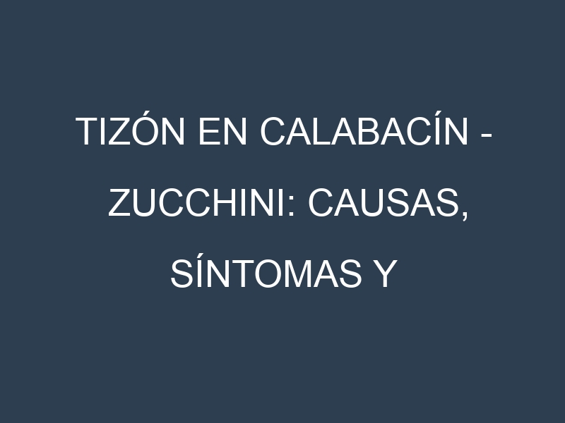 Tizón en Calabacín – Zucchini: Causas, Síntomas y Estrategias de Control en Cultivos