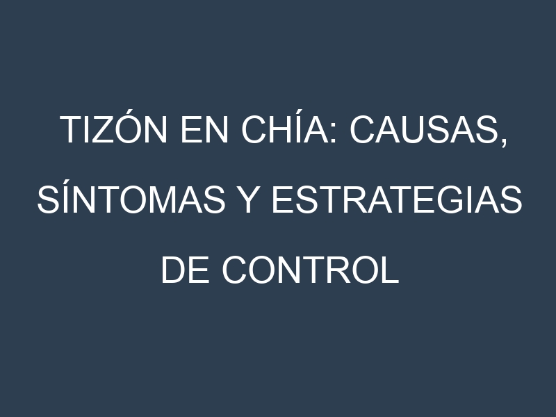 Tizón en Chía: Causas, Síntomas y Estrategias de Control en Cultivos
