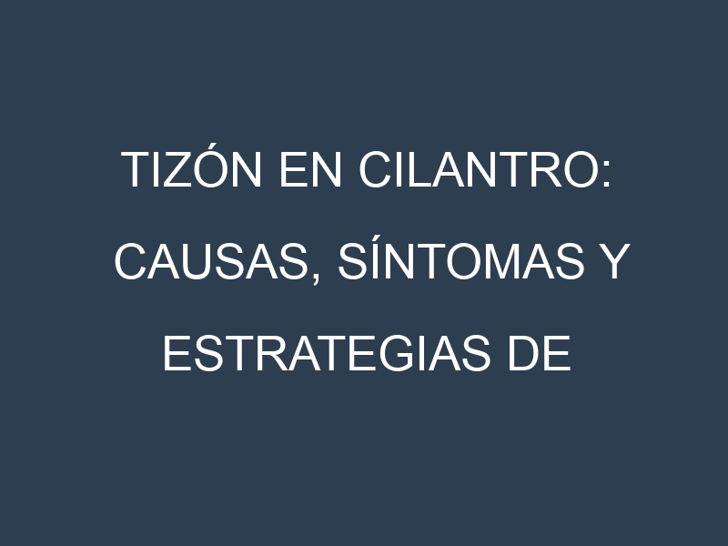 Tizón en Cilantro: Causas, Síntomas y Estrategias de Control en Cultivos