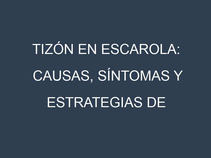 Tizón en Escarola: Causas, Síntomas y Estrategias de Control en Cultivos
