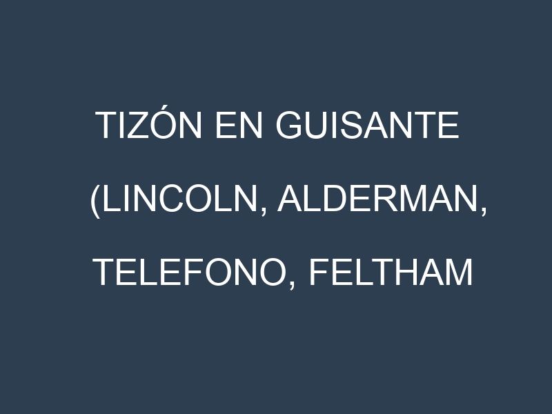 Tizón en Guisante (Lincoln, Alderman, Telefono, Feltham First): Causas, Síntomas y Estrategias de Control en Cultivos