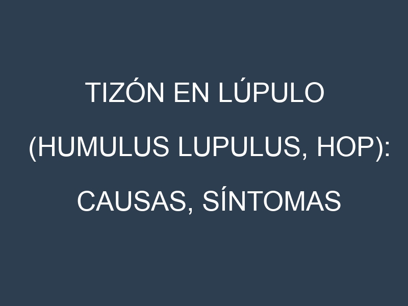 Tizón en Lúpulo (Humulus lupulus, Hop): Causas, Síntomas y Estrategias de Control en Cultivos
