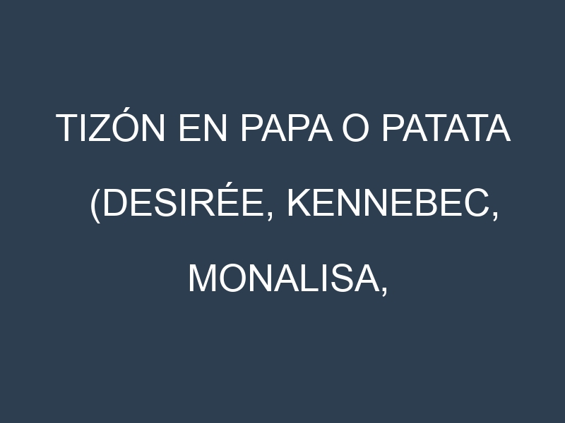 Tizón en Papa o patata (Desirée, Kennebec, Monalisa, Agria): Causas, Síntomas y Estrategias de Control en Cultivos