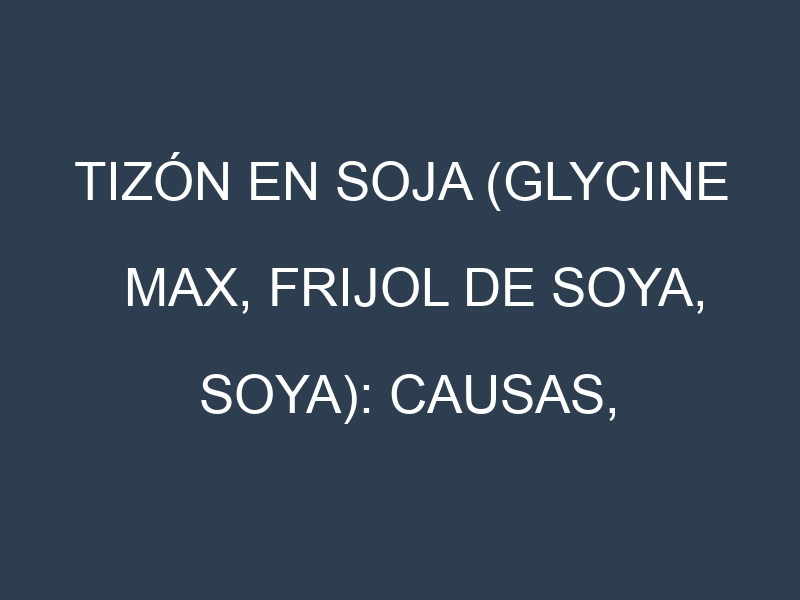 Tizón en Soja (Glycine max, Frijol de soya, Soya): Causas, Síntomas y Estrategias de Control en Cultivos