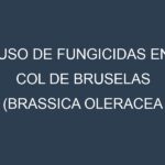 Uso de Fungicidas en Col de Bruselas (Brassica oleracea gemmifera, Diablo, Long Island, Jade Cross): Todo lo que Necesitas Saber
