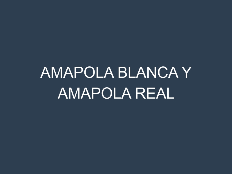 amapola blanca y amapola real