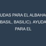 Ayudas para el Albahaca (Basil, basilic). Ayudas para el cultivo. Subvenciones.