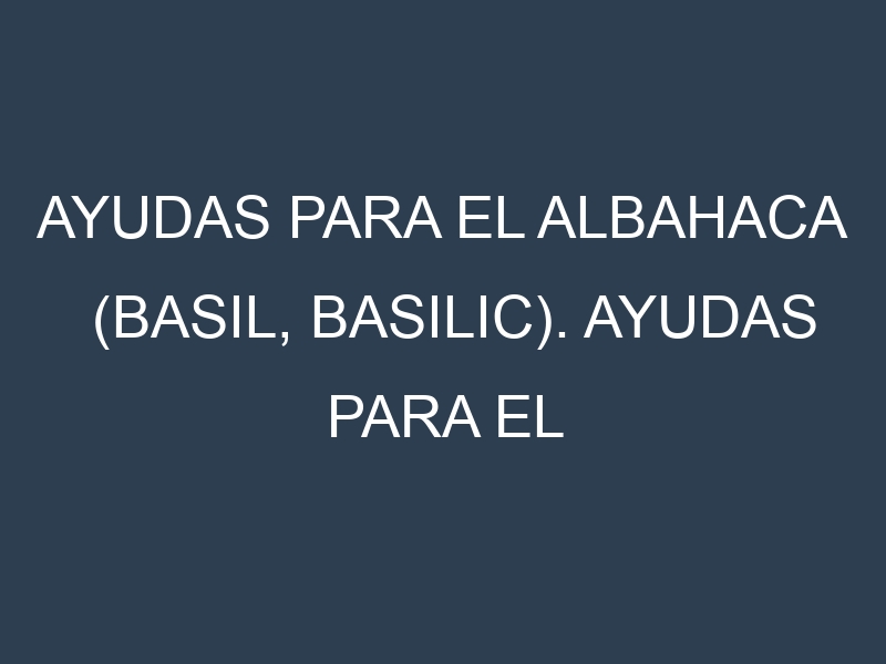 Ayudas para el Albahaca (Basil, basilic). Ayudas para el cultivo. Subvenciones.