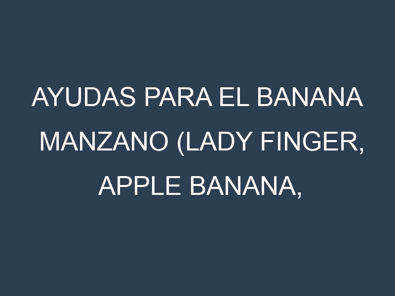 Ayudas para el Banana Manzano (Lady Finger, Apple Banana, Pisang Mas, Brazilian Banana, Señorita). Ayudas para el cultivo. Subvenciones.