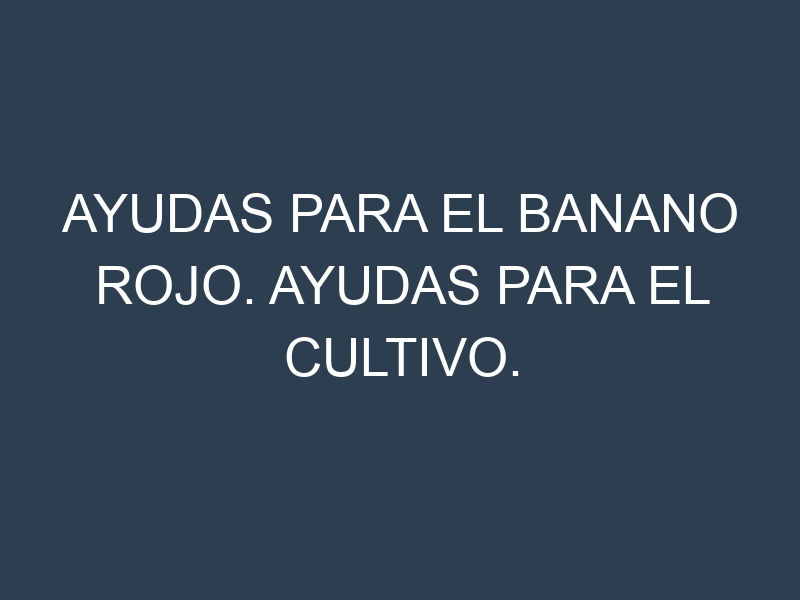 Ayudas para el Banano rojo. Ayudas para el cultivo. Subvenciones.